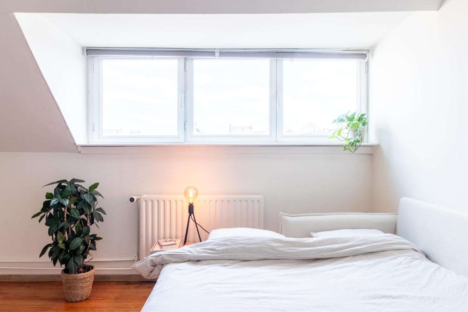 Guesthouse Private Studio Nearby Old Town خنت المظهر الخارجي الصورة